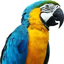 upload_2017-6-5_11-44-22.webp