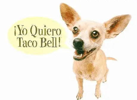 upload_2017-9-7_7-14-36.webp