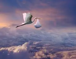 upload_2018-8-21_18-48-9.webp