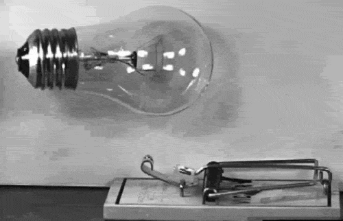 upload_2019-11-14_9-44-12.gif