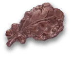 upload_2019-3-22_16-4-36.webp