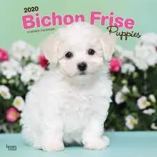 upload_2019-6-23_9-21-12.webp