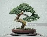 upload_2019-6-2_1-26-59.webp