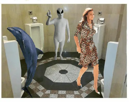urinals2.webp