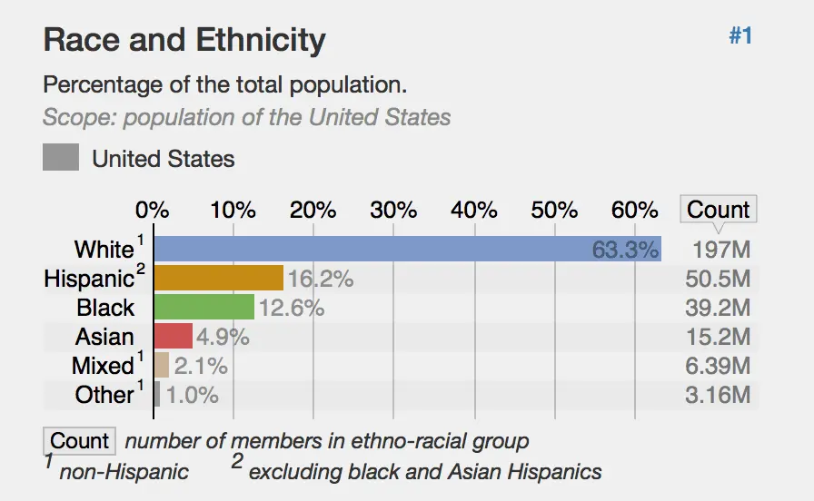 USdemographics.webp