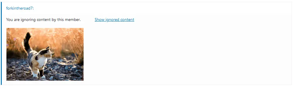 usmb ignore more.webp