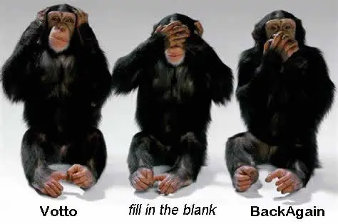 usmb monkeys.webp