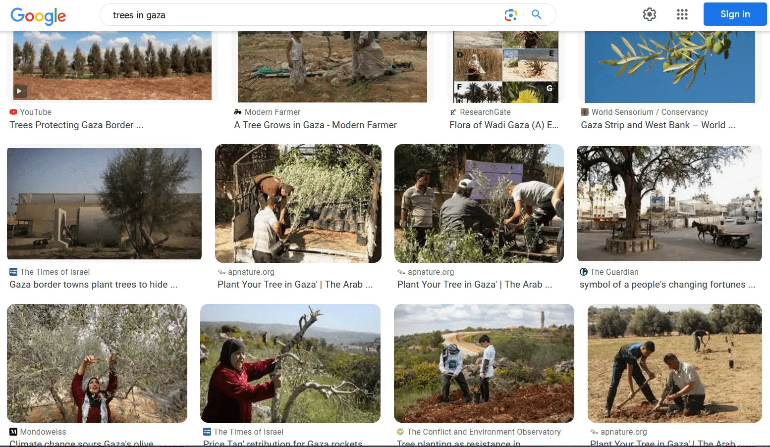 usmb trees gaza desert too.webp