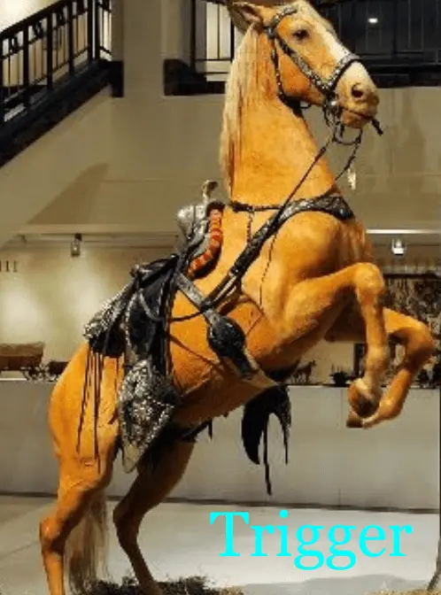 usmb trigger text.webp