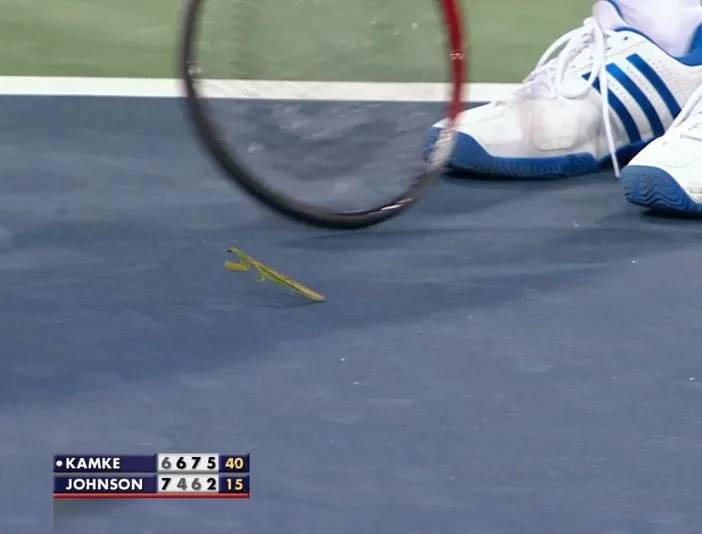 USOpen2013Mantis.webp