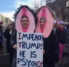 Vagina protest.jpeg
