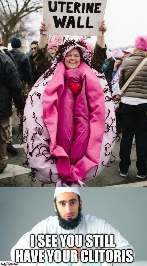 vagina.webp
