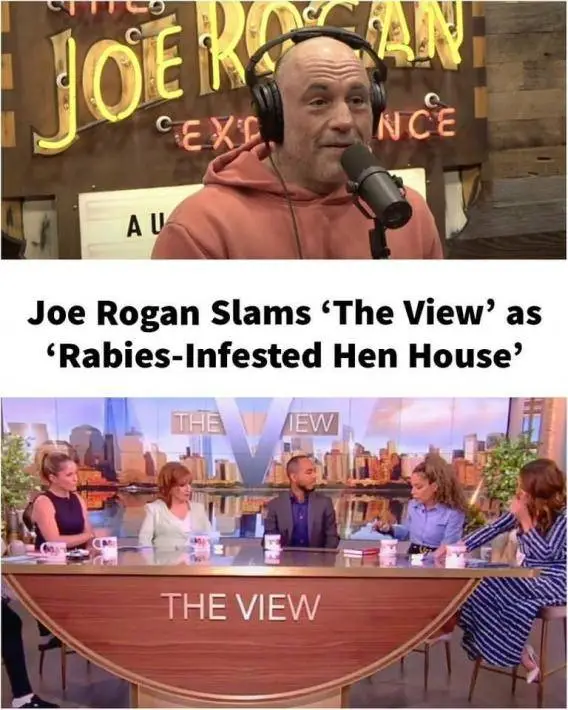 view rabies infested.webp