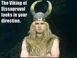 VikingDisapproval.webp
