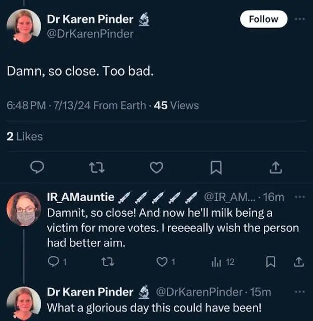 VILE DEMOCRATS (1).jpg