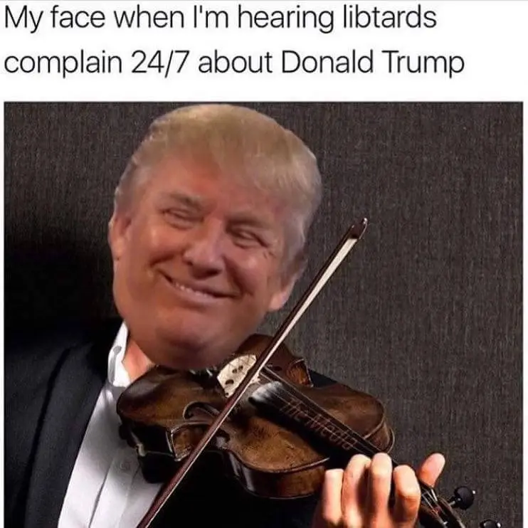 Violin.webp
