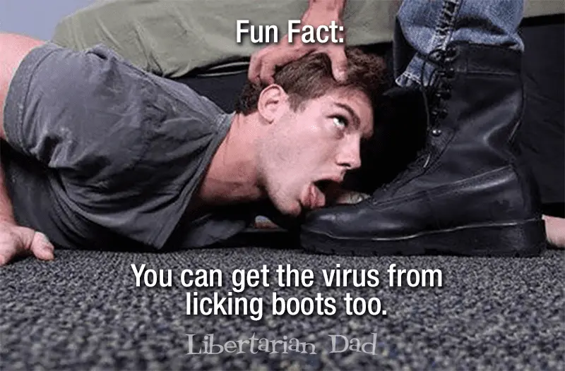 VirusBootlicck.webp