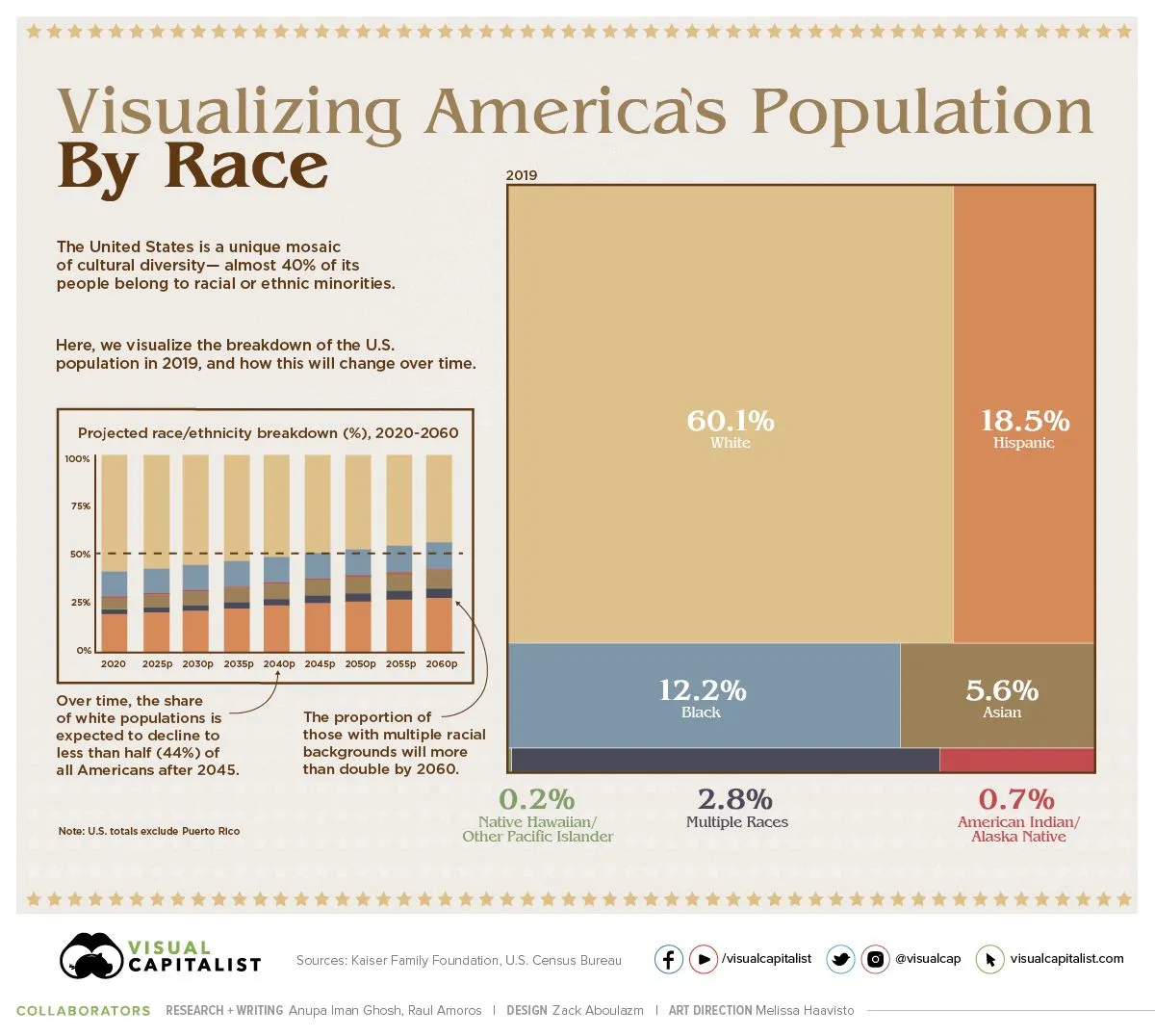 Visualizing-US-Population-by-Race.webp