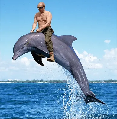 Vladimir-Putin-Riding-a-Dolphin-1.webp