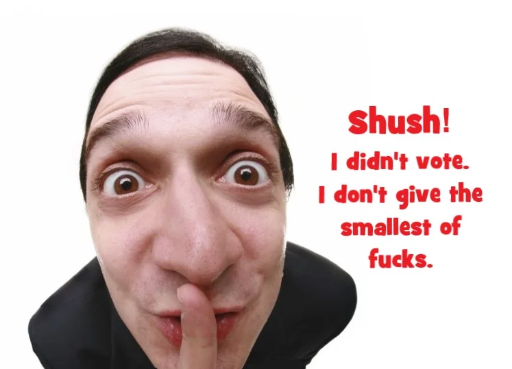 vote didn't shush fisheye.webp