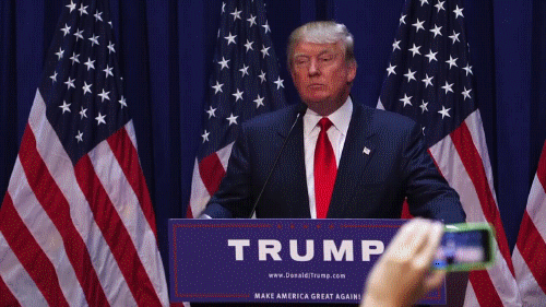 vote trump (2).gif
