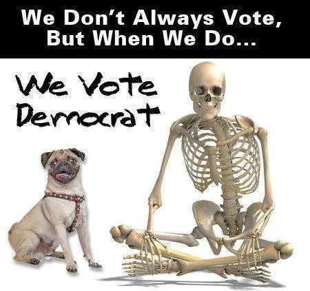 votedemocrat.webp