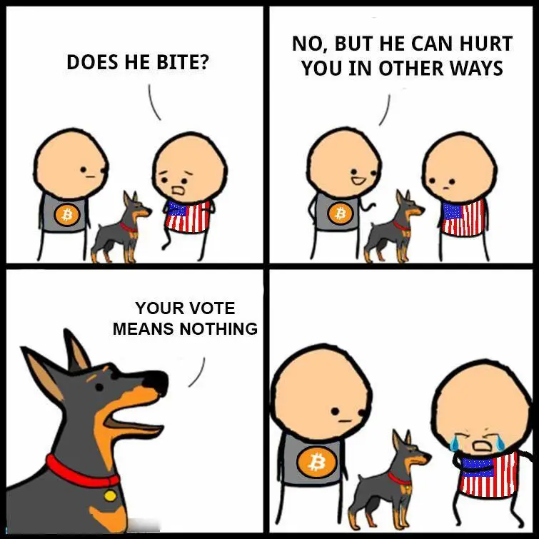 VoteMeansNothing.webp