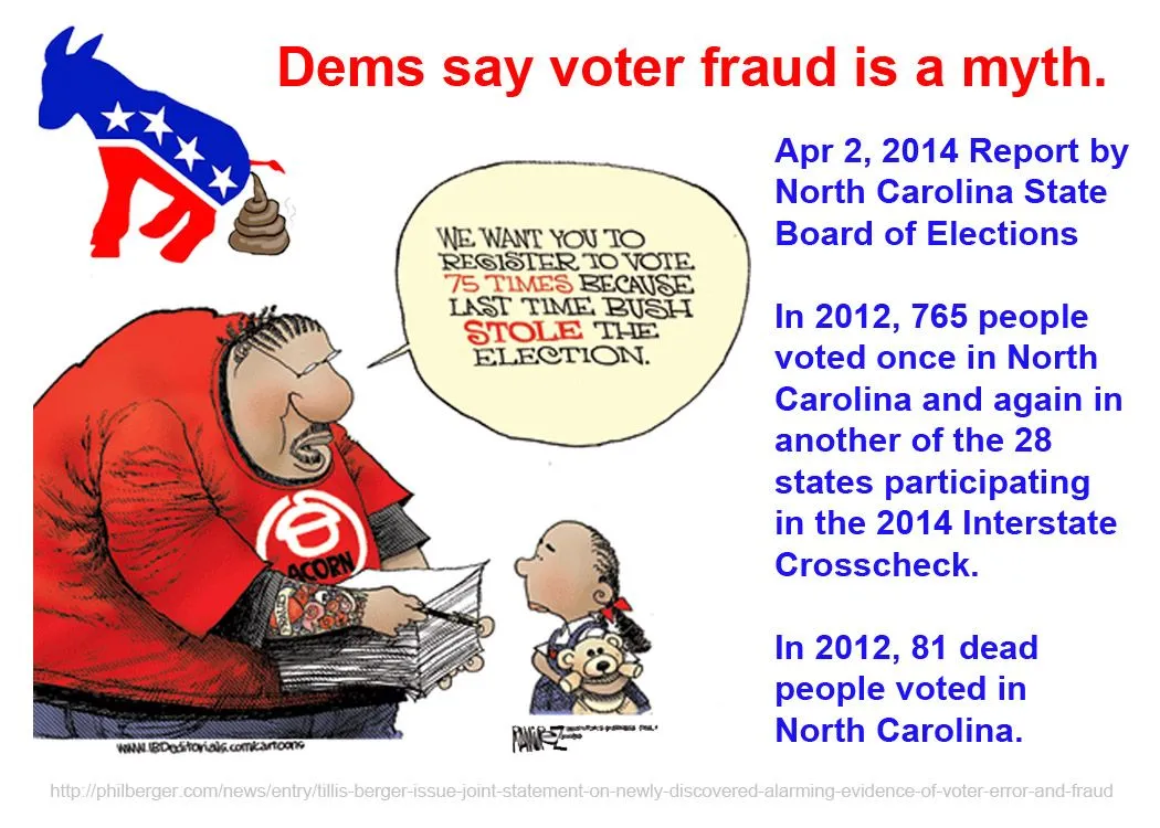 voter-fraud-reportdemsjkshsdifjhf.webp