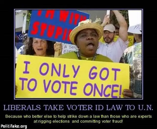 voter fraudewrsdtguyjik.webp