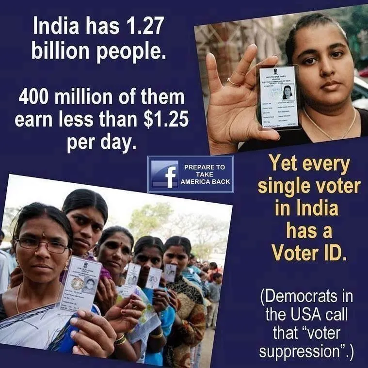 voter ID asedadqaed.webp