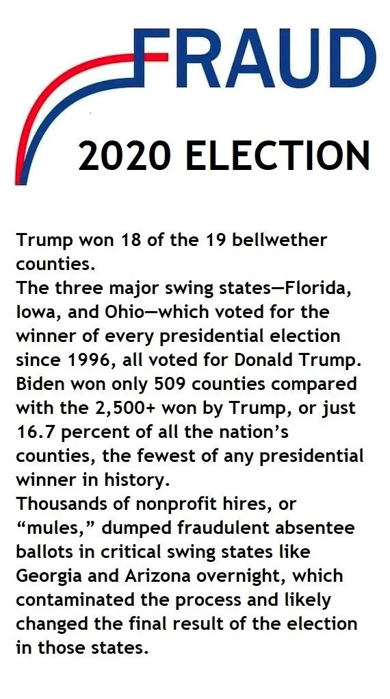 voterfraud2020election2.webp