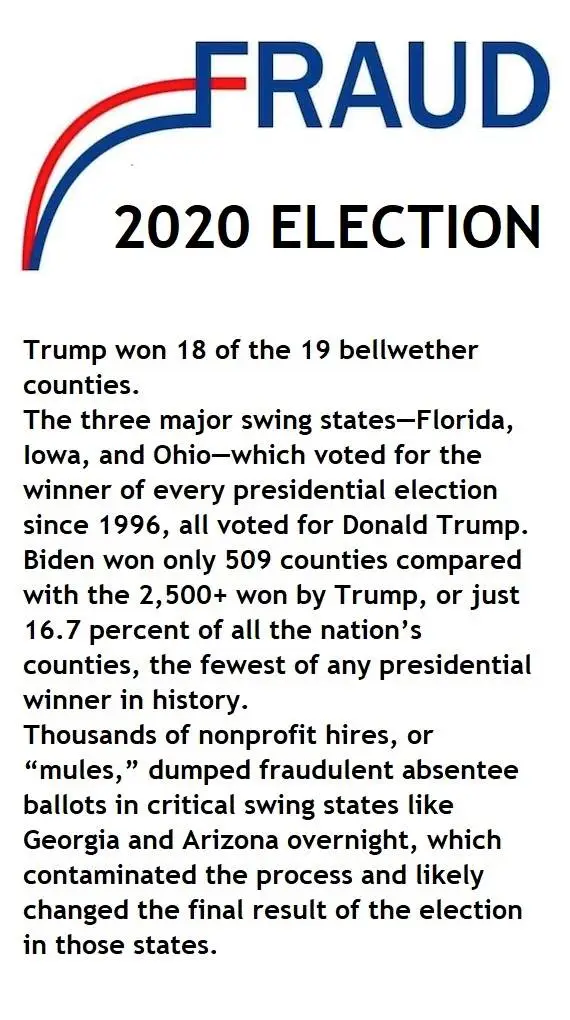 voterfraud2020election3.webp