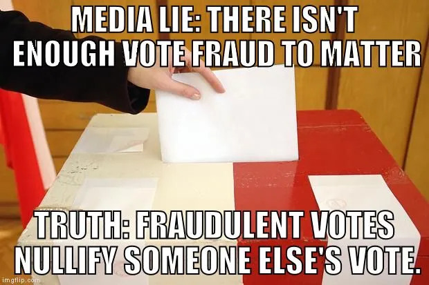 voterfraudcxzasdwef.webp