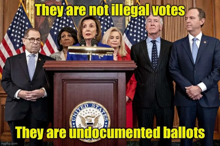 voterfrauddemsarelyingposnkjsdfhksdfh.webp