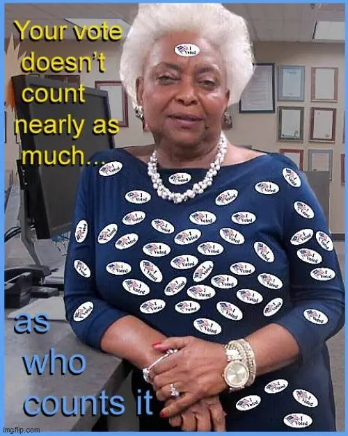 voterfrauddemscheatjhfjkfkj.webp