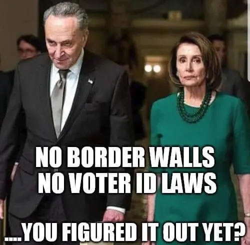 voterfrauddemsposjdfjfikejfhkejrh.jpg