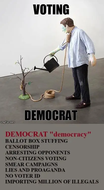 voterfraudfdjdjgdgjdj.webp