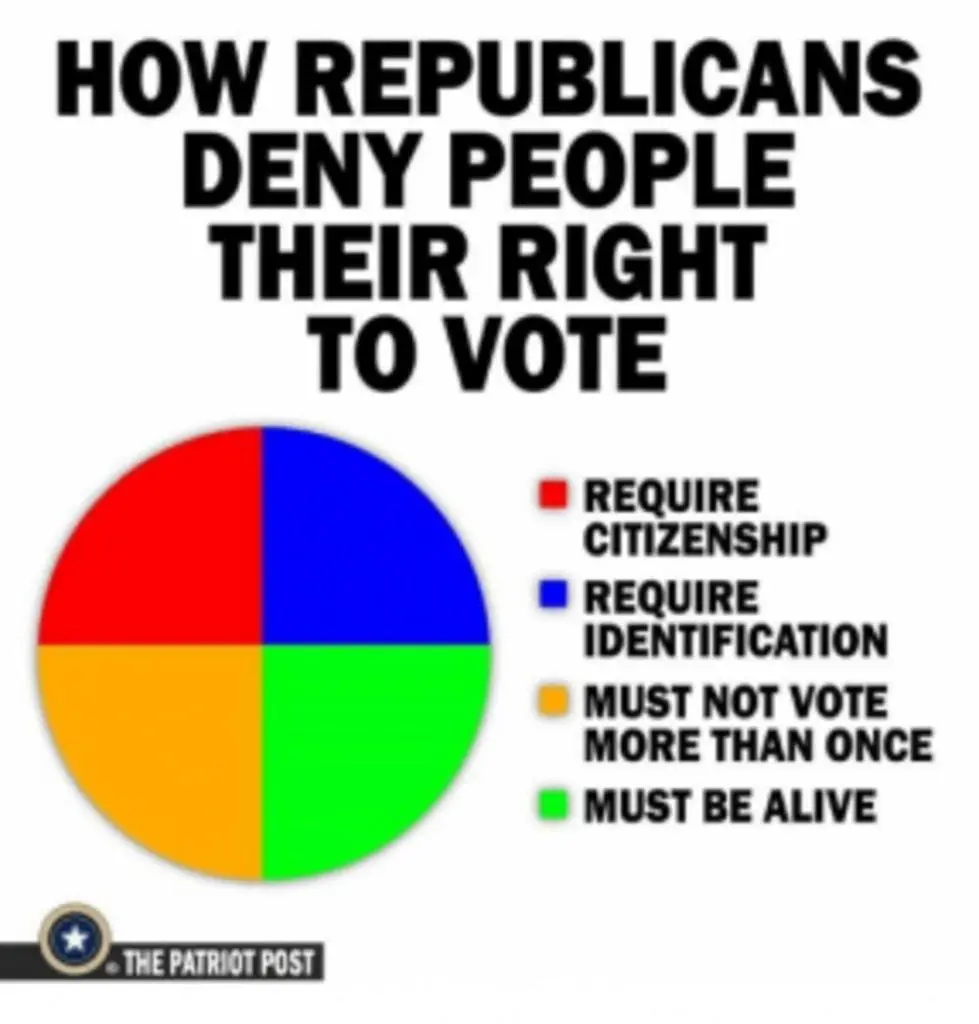 voterfraudfdsjnokklpijhgbchd.webp