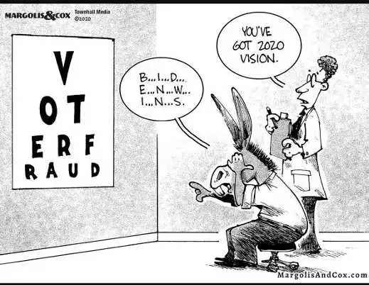 voterfraudjchhasdhjad.webp
