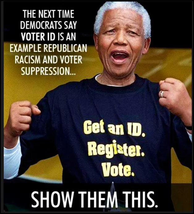 Voterfraudmandelainvoter-id.webp