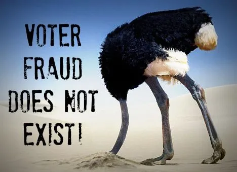 voterfraudnasdkadlkjfjf.webp