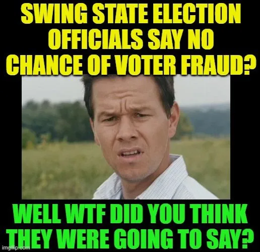 voterfraudnnaksdajhdd.webp