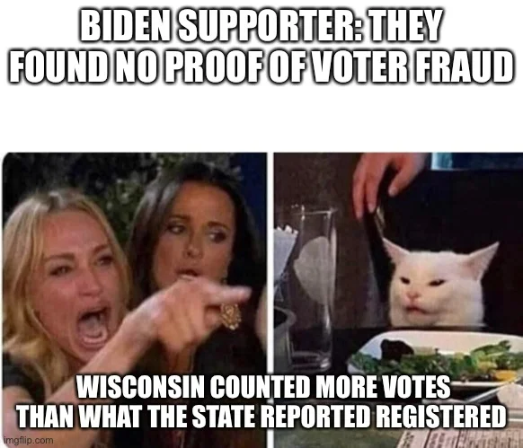 voterfraudwisconsinjhmhgfhf.webp