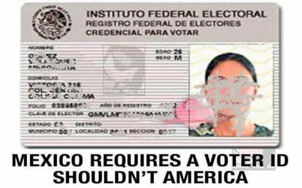 voterr id mexico-voter-id-600x374.webp