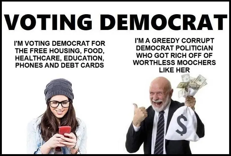 votingdemocrat22.webp
