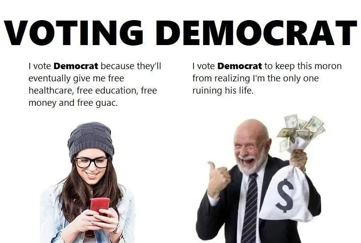 votingdemocratkfkjfj.webp