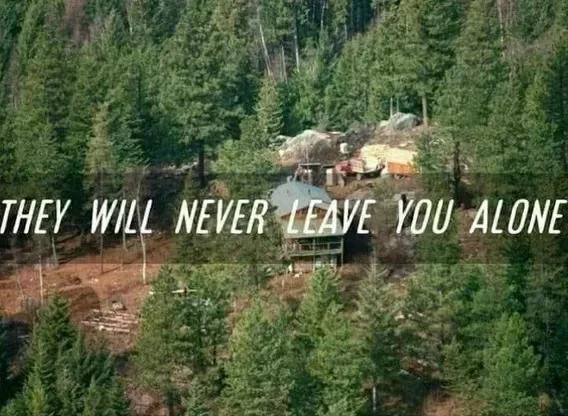 vvghhhhu788 I kk.webp