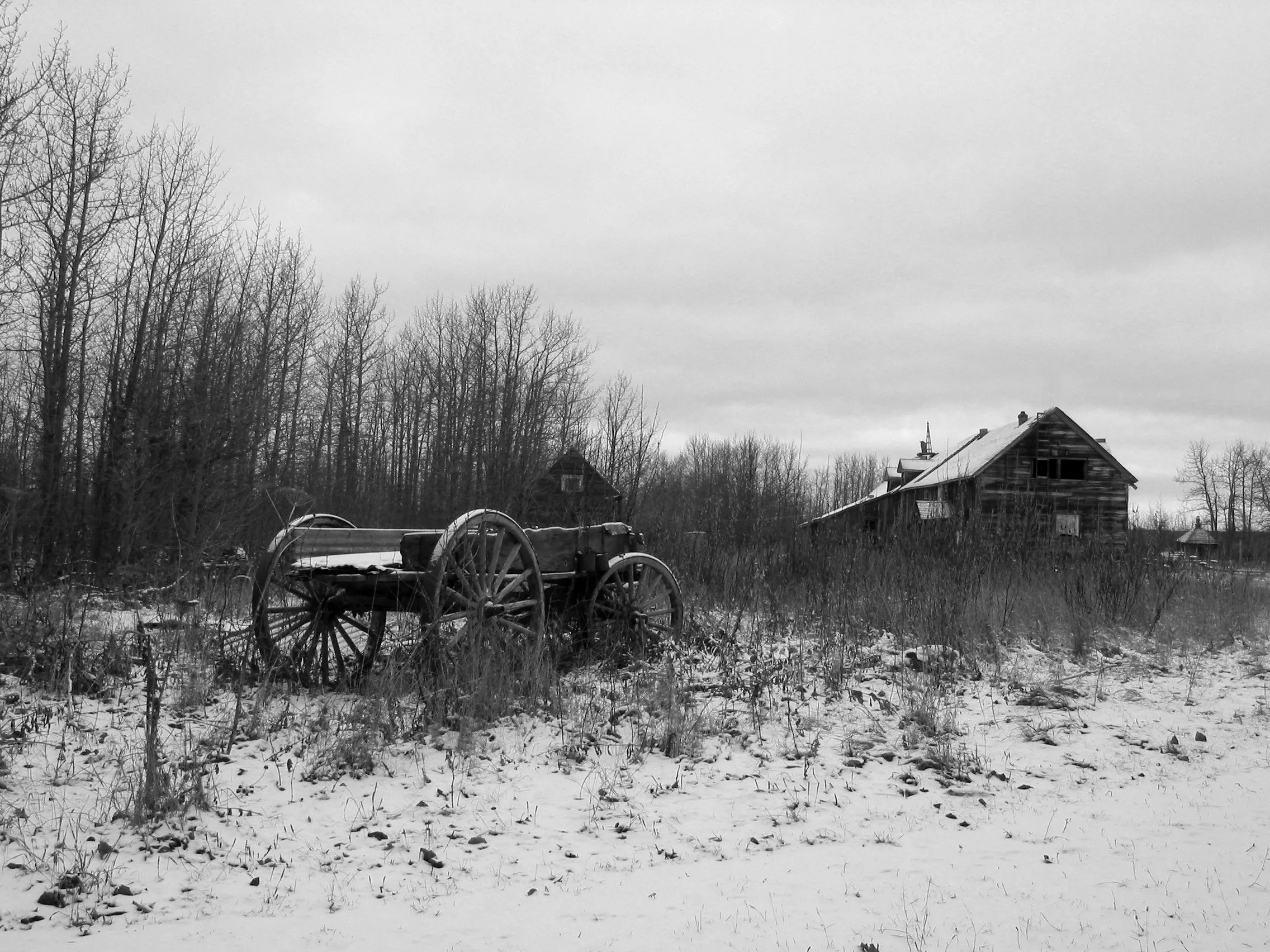 wagon&bldg-b&w.webp