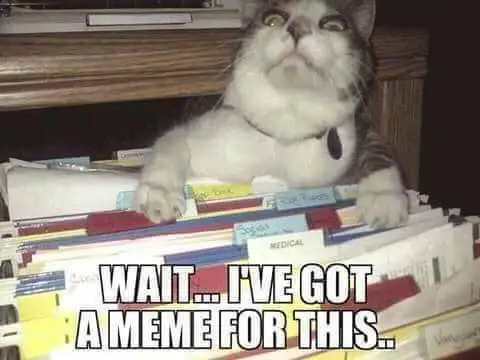WaitKittah.webp