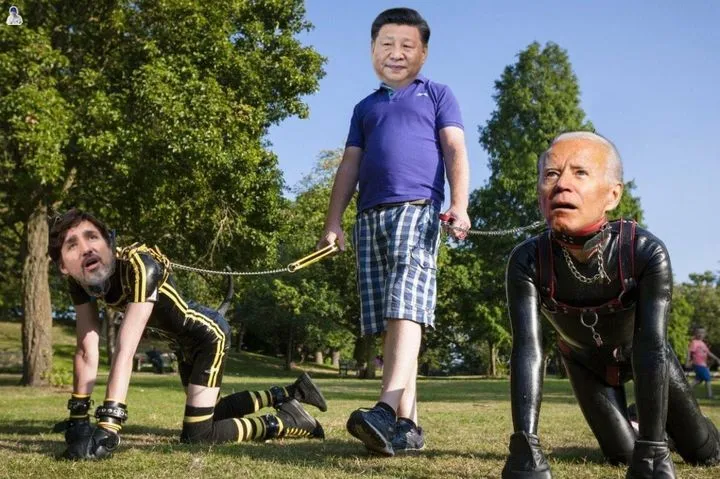 walking the dogs.webp